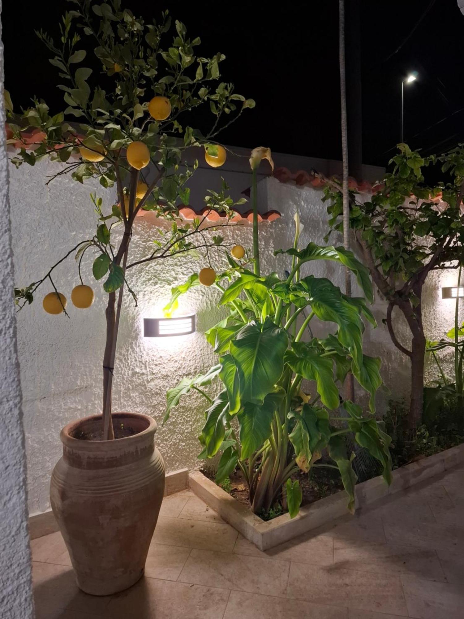Toluammare Sicily Villa Santa Maria Del Focallo Ngoại thất bức ảnh