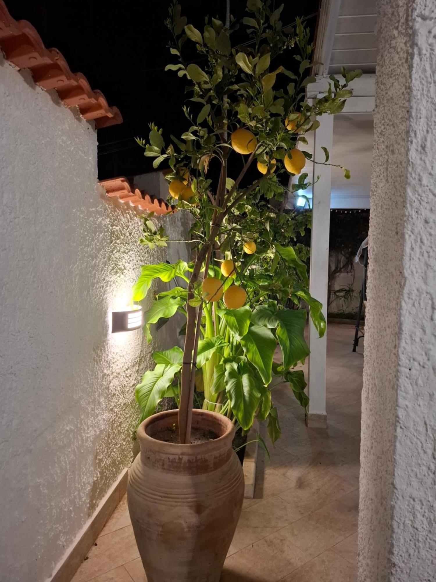 Toluammare Sicily Villa Santa Maria Del Focallo Ngoại thất bức ảnh